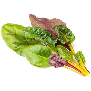 Click &amp; Grow Smart Refill Rainbow Chard 3 gab.