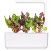 Click & Grow Smart Refill SGR89X3 Rainbow Chard Photo 3