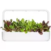 Click & Grow Smart Refill SGR89X3 Rainbow Chard Photo 4