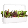 Click & Grow Smart Refill SGR89X3 Rainbow Chard Photo 5