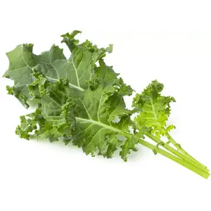 Smart Refill Click & Grow SGR90X3 3pcs Green Kale seed capsules for indoor smart garden
