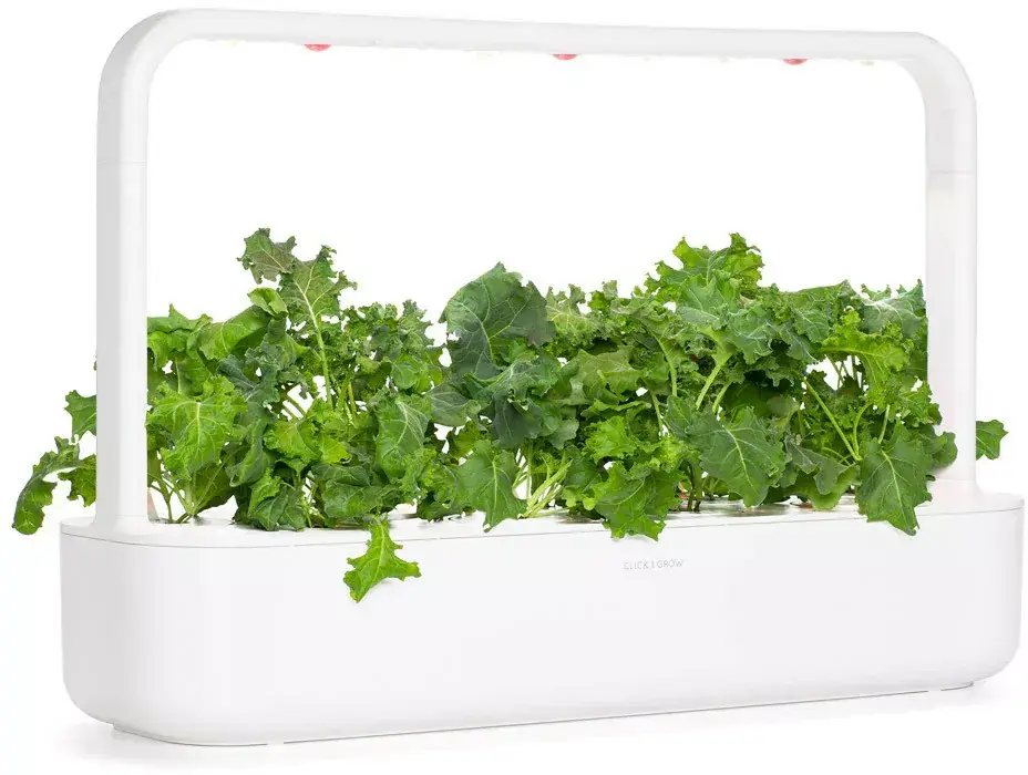 Click & Grow SGR90X3 Smart Refill Green Kale Photo 2