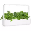 Click & Grow SGR90X3 Smart Refill Green Kale Photo 2