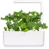 Click & Grow SGR90X3 Smart Refill Green Kale Photo 3
