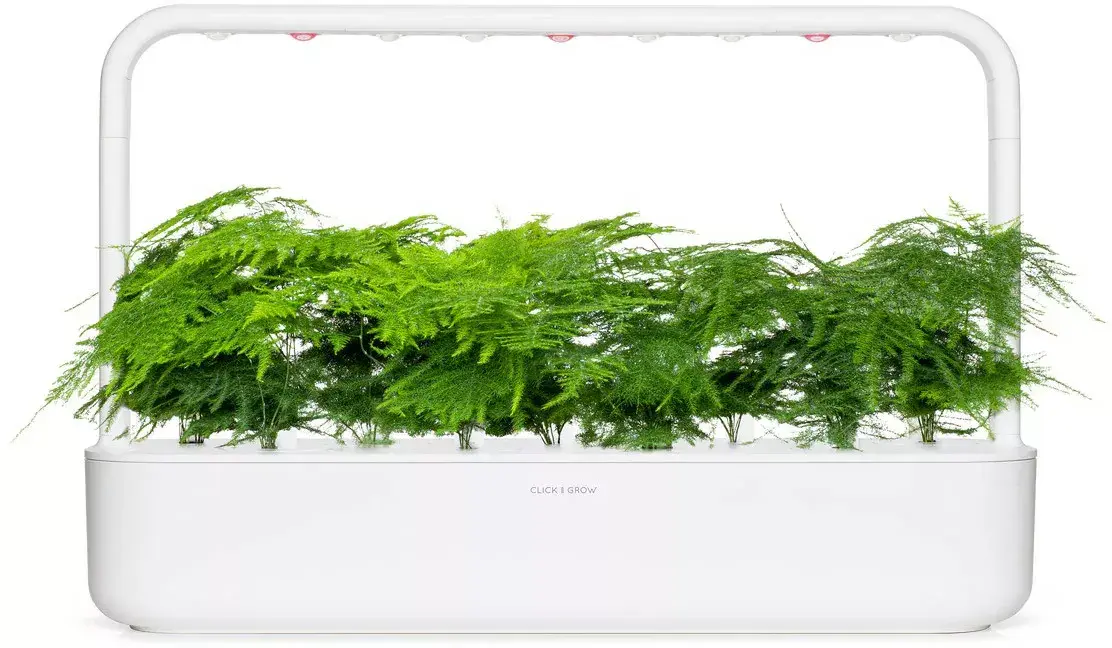 Click and Grow Smart-рефилл SGR80X3 Photo 3