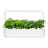 Click and Grow Smart-рефилл SGR80X3 Photo 3