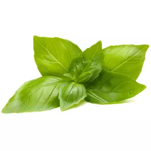 Click &amp; Grow Smart uzpilde Lemon Basil 3 gab.