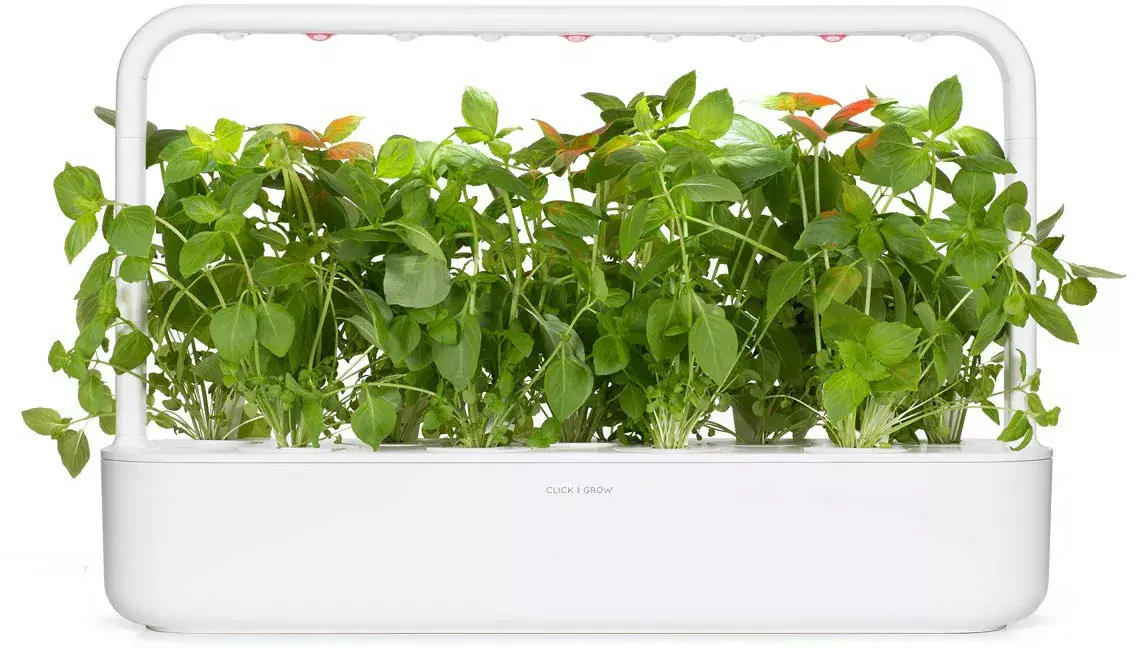 Click and Grow Smart Refill SGR76X3 — 3 Citronu baziliks Photo 2