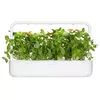 Click and Grow Smart Refill SGR76X3 — 3 Citronu baziliks Photo 2