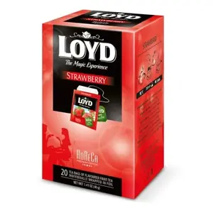 Tea Loyd Fruit Tea with Strawberries 20 tea bags x 2 g pack