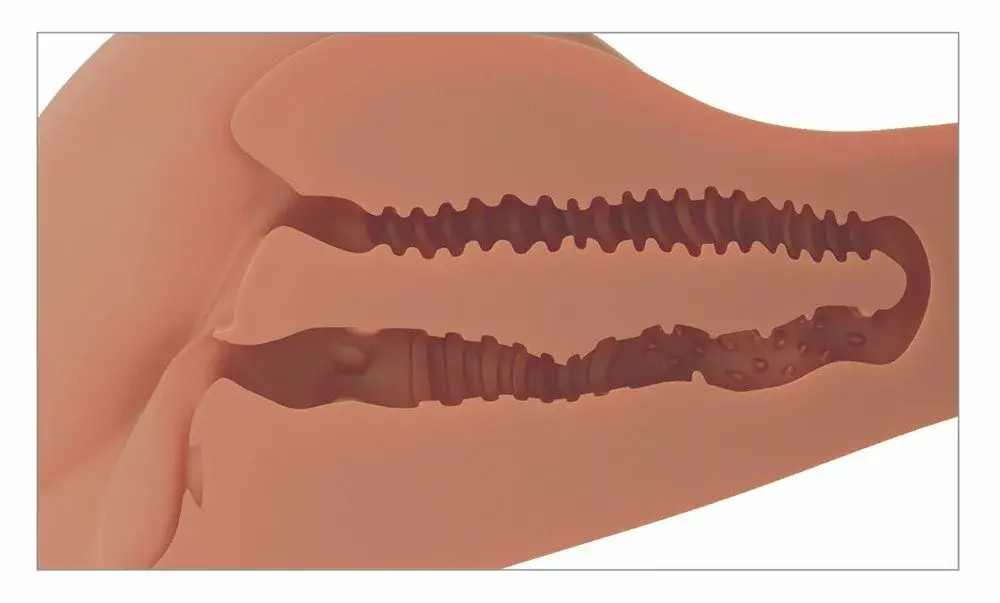 Torso masturbator Pipedream Silicone Tan Photo 7