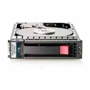 Hewlett Packard Enterprise HDD 1TB SAS 7.2K 461134-002-RFB
