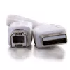 C2G 3m USB 2.0 A/B kabelis Photo 4