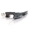 C2G 2m USB 2.0 A/B Kabeļa Photo 6