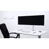 MULTIBRACKETS M VESA Deskmount Officeline Dual monitor mount Photo 7