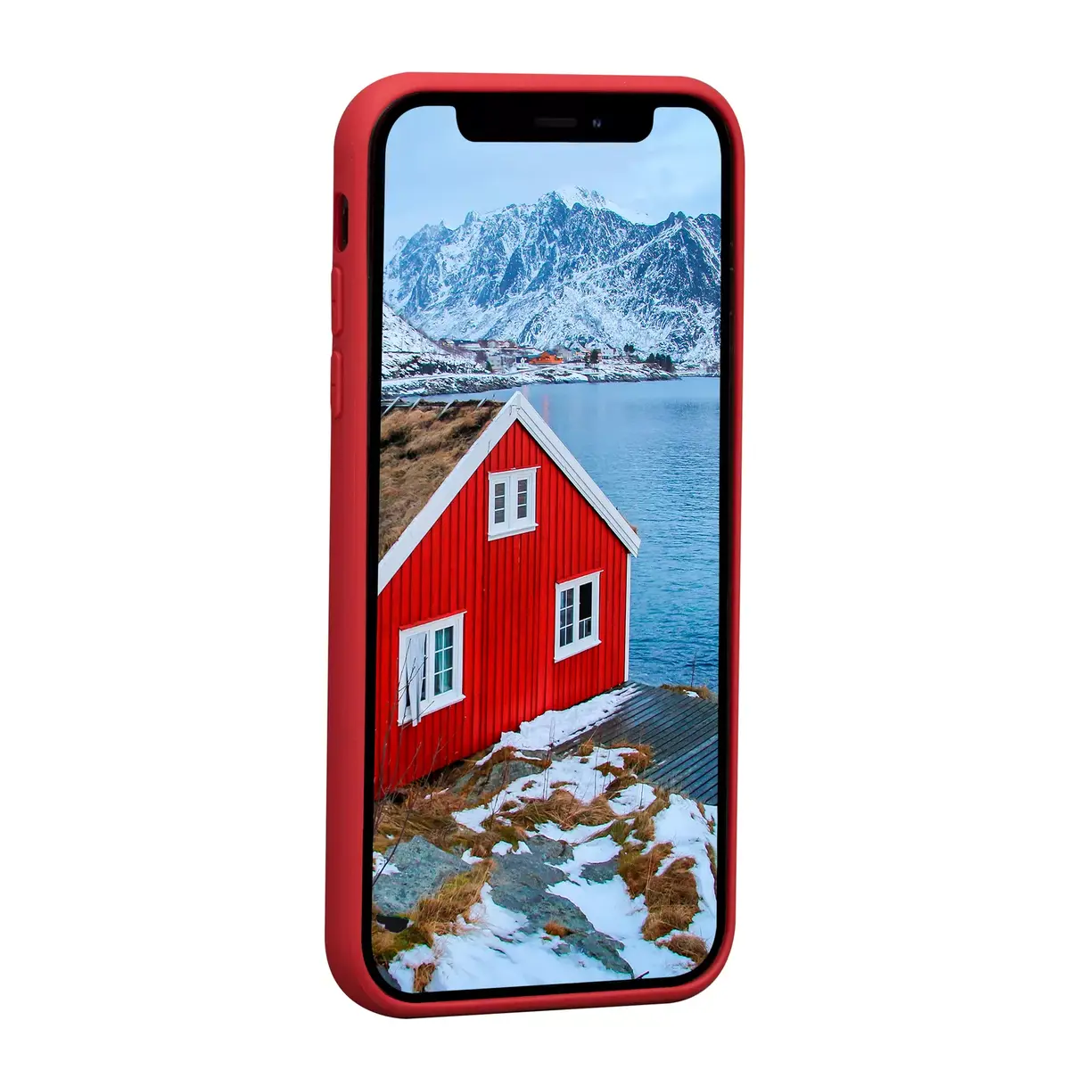 dbramante1928 Greenland ādas vāciņš iPhone 11/XR Photo 2