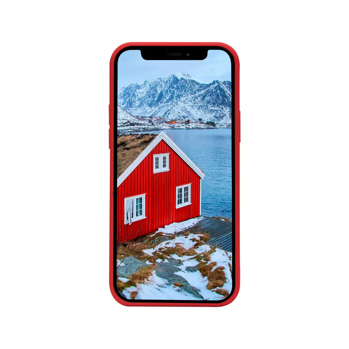 dbramante1928 Greenland ādas vāciņš iPhone 11/XR Photo 8