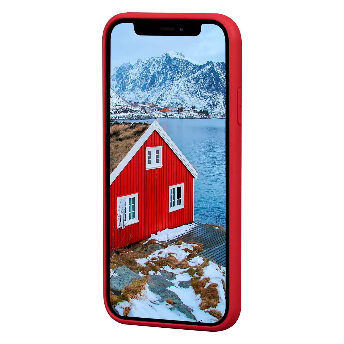 dbramante1928 Greenland ādas vāciņš iPhone 11/XR Photo 9