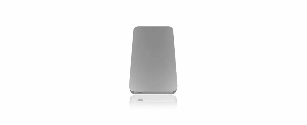 HDD korpuss ICY BOX IB-247-C31 Photo 3