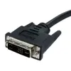 StarTech 1m DVI uz VGA kabelis DVIVGAMM1M Photo 3