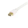 Mini DisplayPort uz DisplayPort kabelis StarTech MDP2DPMM1MW Photo 2