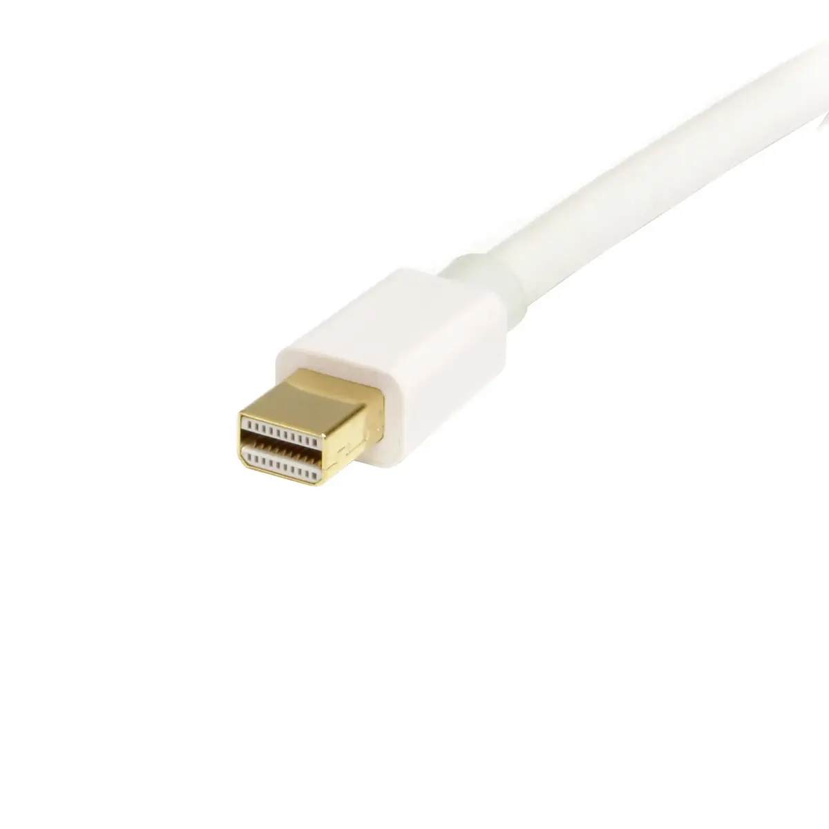 StarTech MDP2DPMM1MW Mini DP uz DP 1.2 kabelis 1m balts Photo 2