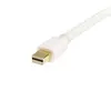 StarTech MDP2DPMM1MW Mini DP uz DP 1.2 kabelis 1m balts Photo 2