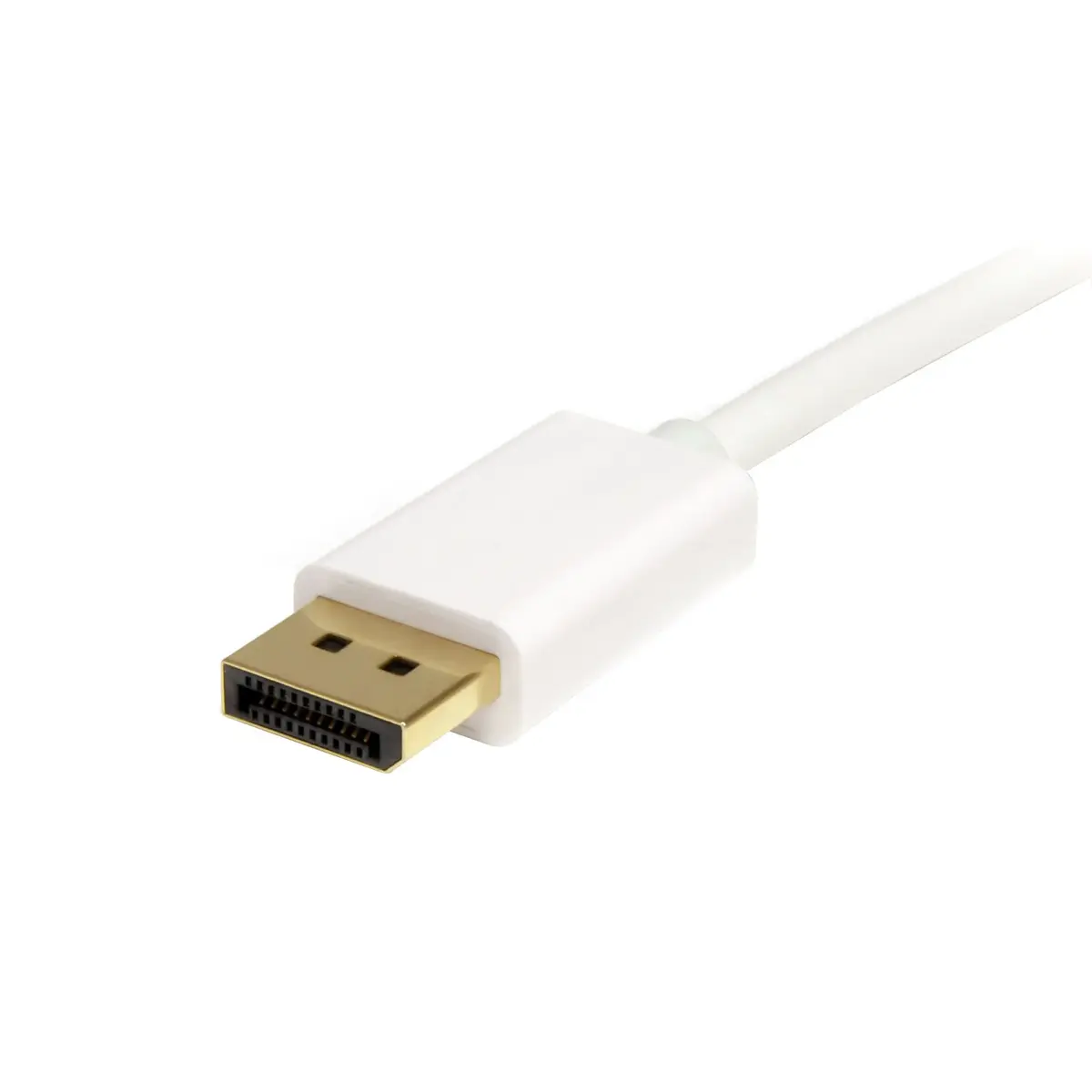 StarTech MDP2DPMM1MW Mini DP uz DP 1.2 kabelis 1m balts Photo 3