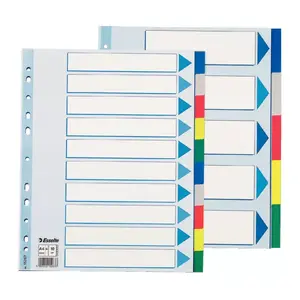 ESSELTE Plastic tabs for A4 documents, 225 x 297 mm