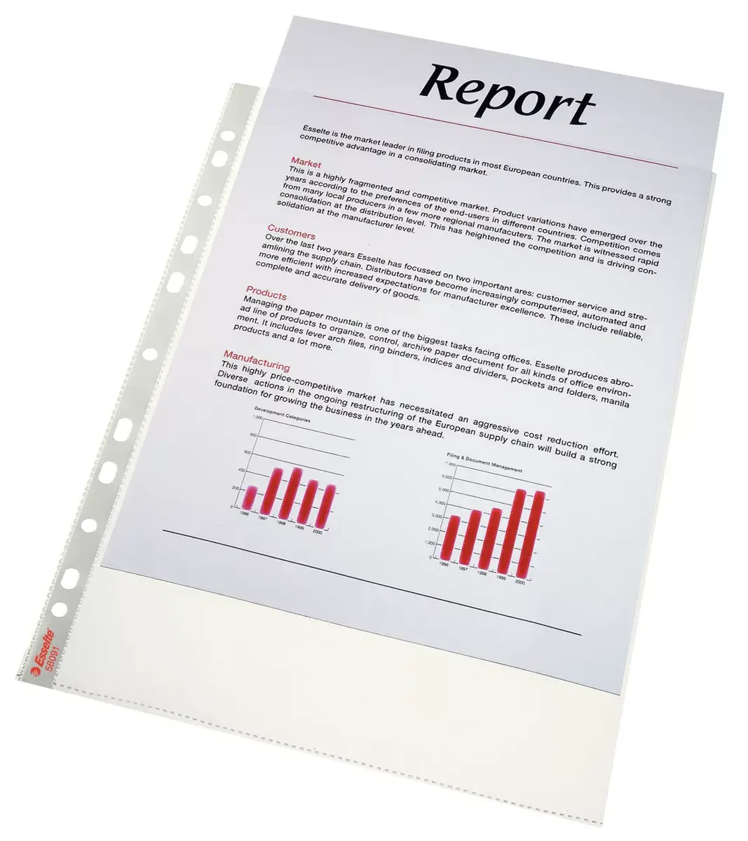 Sheet protector ESSELTE 7208 A4 polypropylene Photo 2