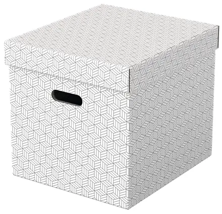 Esselte Uzglabāšanas kaste Home Storage Box