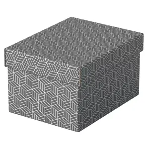 Storage box Esselte 628281 Grey Rectangular 200x255x150 mm