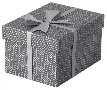 Storage box Esselte 628281 Photo 2