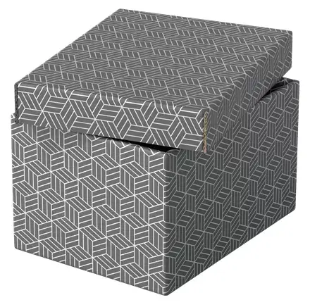 Storage box Esselte 628281 Photo 3