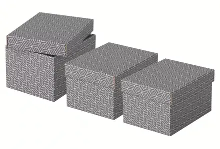 Storage box Esselte 628281 Photo 4