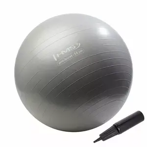 Vingrošanas bumba HMS YB02 Anti-burst ar sūkni, 55 cm, grafīta krāsa