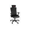 Игровое кресло PC GENESIS Astat 700 Photo 2