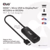 Active Adapter CAC-1335 Photo 10