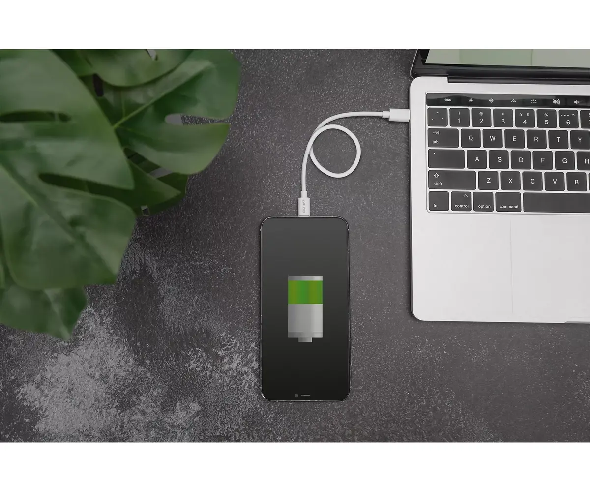 Кабель Lightning на USB-C Digitus DB-600109-020-W Photo 2
