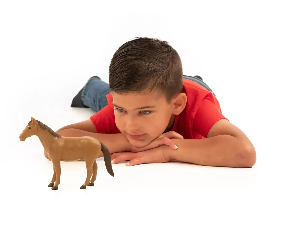 Animal playset BRUDER 02352 Photo 3