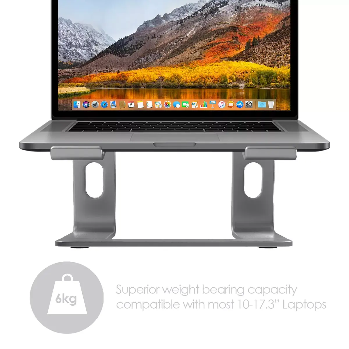 Подставка Desire2 Supreme Pro серебристая 17,3" Photo 5