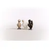 Игрушечные фигурки Schleich FARM WORLD Chicken Friends Photo 8