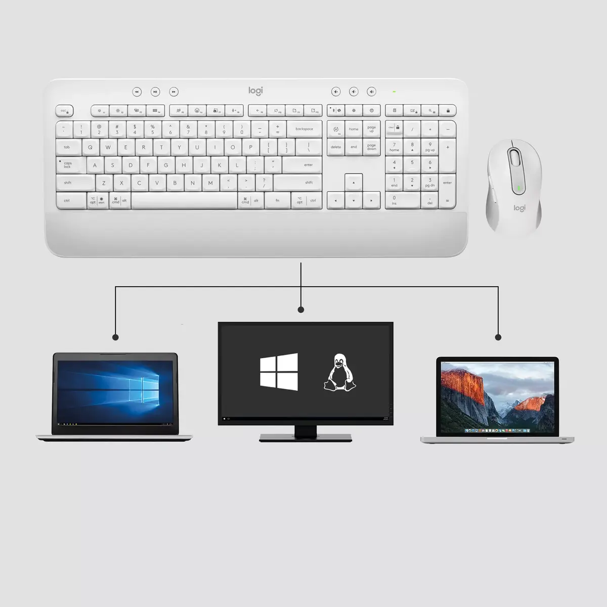 Logitech Signature MK650 Combo biznesam Photo 4