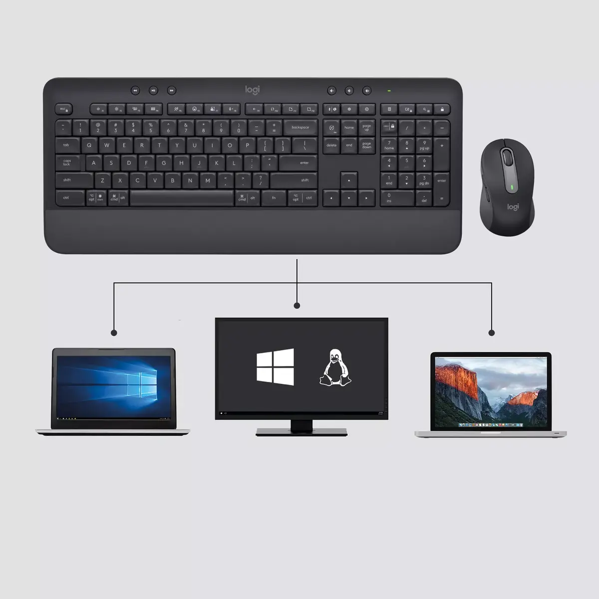 Logitech Signature MK650 Combo для бизнеса Photo 4