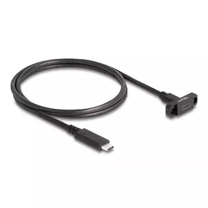 DeLOCK SuperSpeed USB 10 Gbps Cable USB Type-C male to female 1 m black