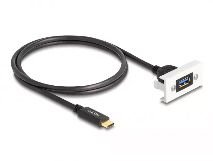DeLOCK Easy 45 Modulis SuperSpeed USB 10 Gbps Photo 2