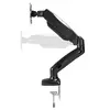 Lindy Single Display Gas-Spring Desktop Mount Photo 2