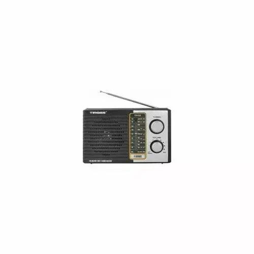 Pārnēsājams radio Tiross TS 458, TS