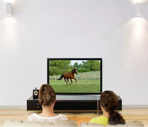 Ergotron Glide Wall Mount HD 152.4 cm 60 Photo 7