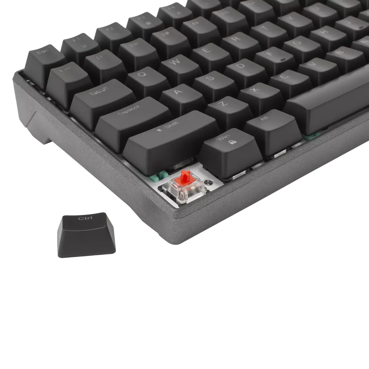 Spēļu tastatūra White Shark ESL-K2 KATANA Photo 7